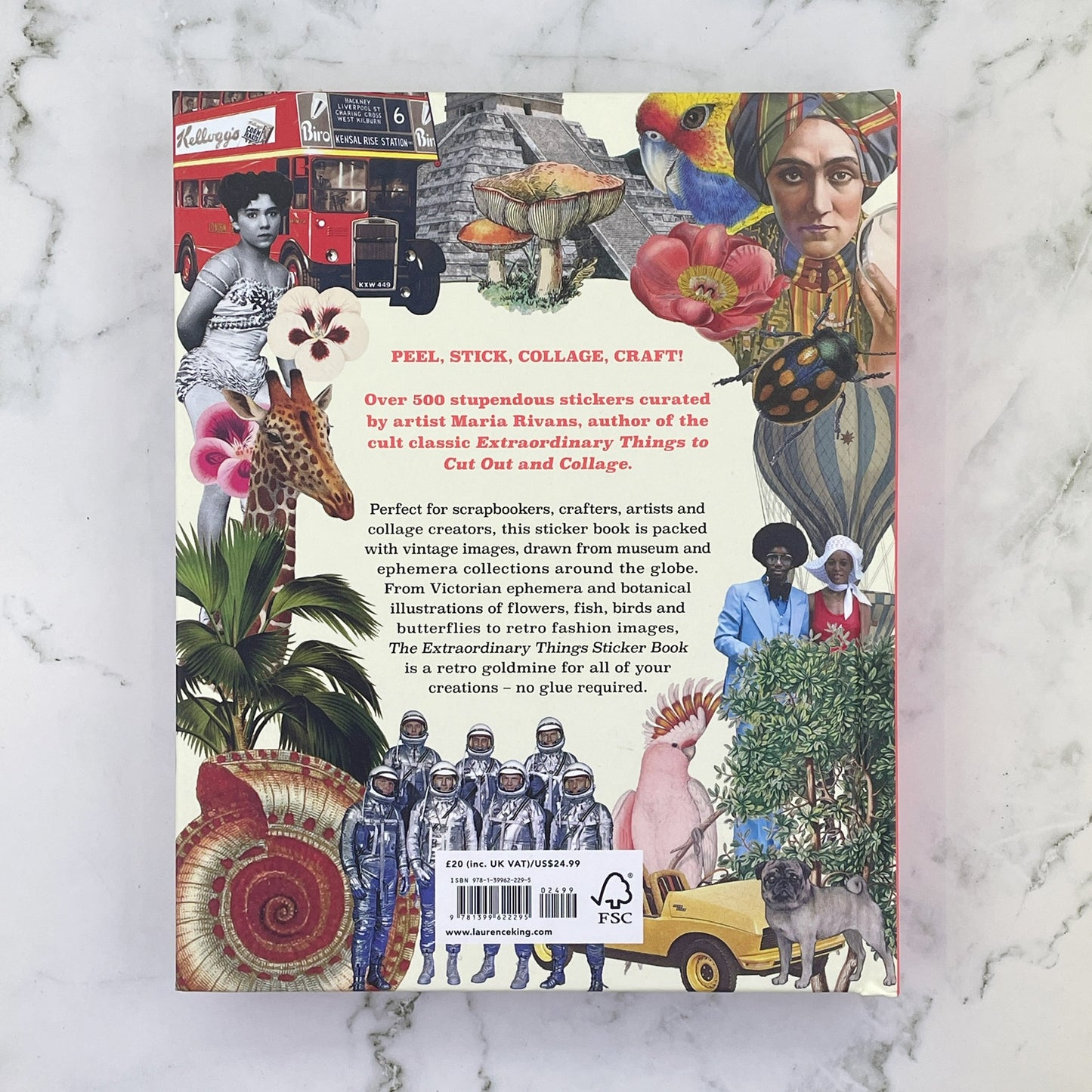 Extraordinary Things Sticker Book